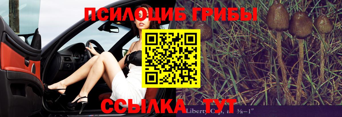 Шадринск  Галлюциногенные грибы Psilocybine cubensis  Вход с VPN 